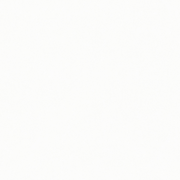 SPC柜体-高光白-PET