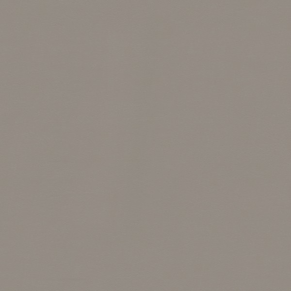 墙板-01-36 BDS-DY-PDY001H  可可灰皮纹