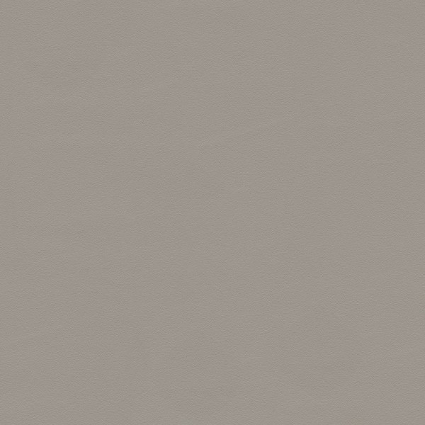 墙板-02-01 BDS-TJ-DTJ007 磨砂可可灰