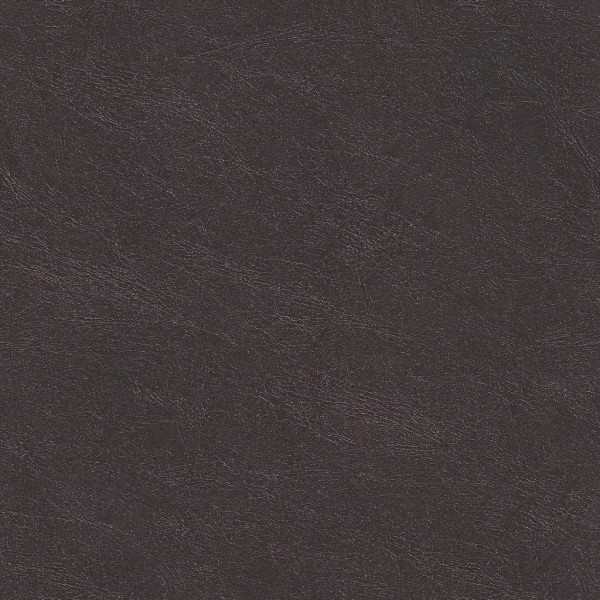 墙板-02-15 BDS-TJ-PTJ11H爱马仕皮纹-古铜金