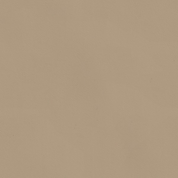 墙板-02-17 BDS-TJ-PTJ13H爱马仕皮纹-卡其金