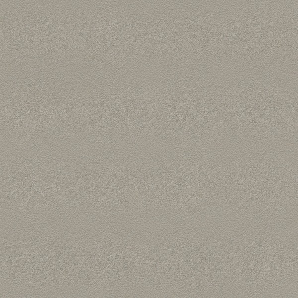 墙板-03-08 BDS-ZZ-DZZ22H  岩宥浅滩可可