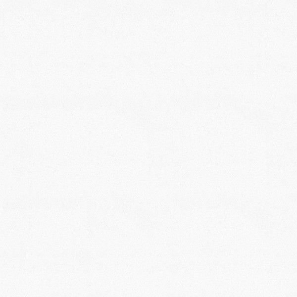 墙板-01-02 BDS-D011B磨砂白