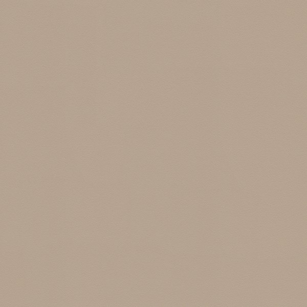 墙板-01-06 BDS-D023B磨砂卡其色