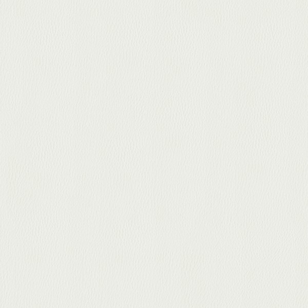 墙板-06-01 BDS-P002B 荔枝纹-白