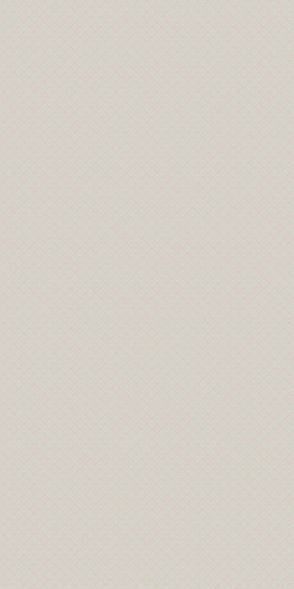 （JK-FW-DZ) 豪华玺纹-浅