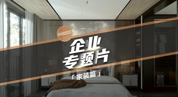巴迪斯专题片-家装篇