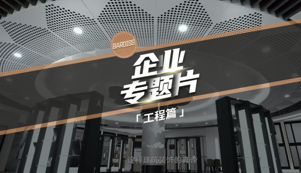 巴迪斯专题片-工程篇