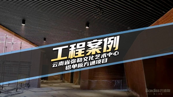工装案例-云南省弥勒文化艺术中心项目