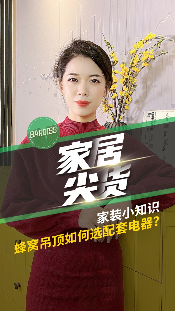 家居尖货-家装小知识 蜂窝吊顶如何选配套电器