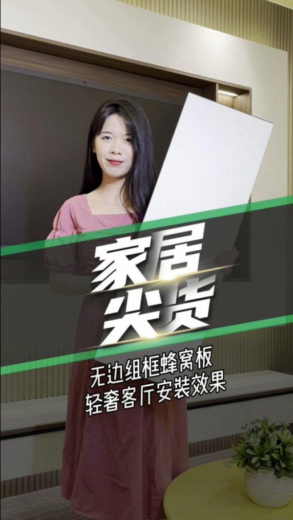 家居尖货-无边组框蜂窝板客厅效果