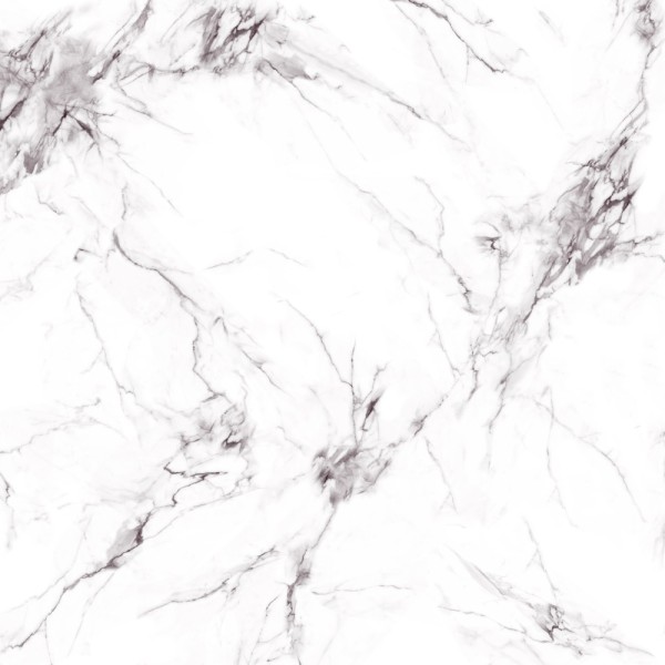 DSW-0113-宝兴珍珠花