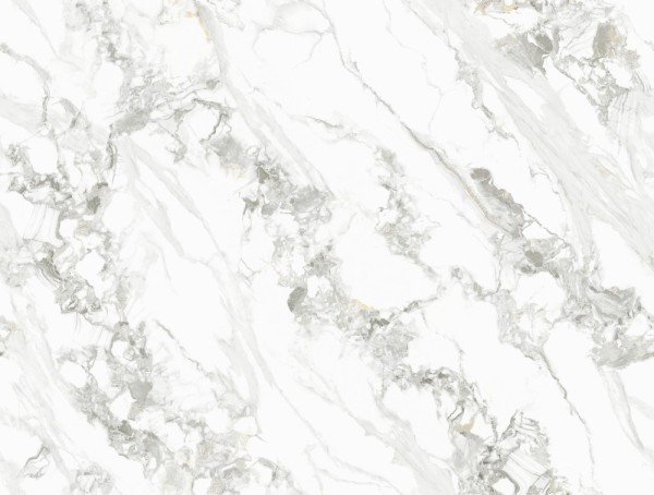 DSW-0116-巴拉大花