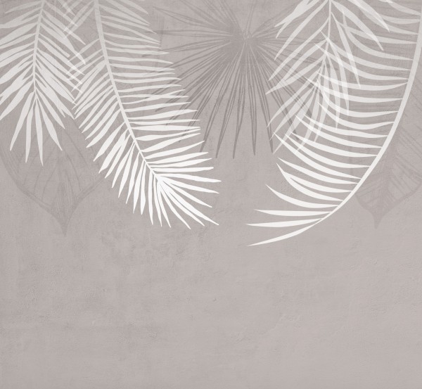 DXD-0233-一顾倾人