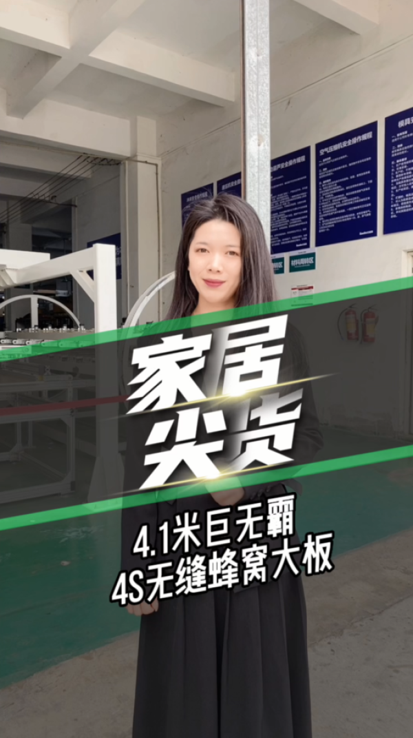 家居尖货-4.1米巨无霸 4S无缝蜂窝大板