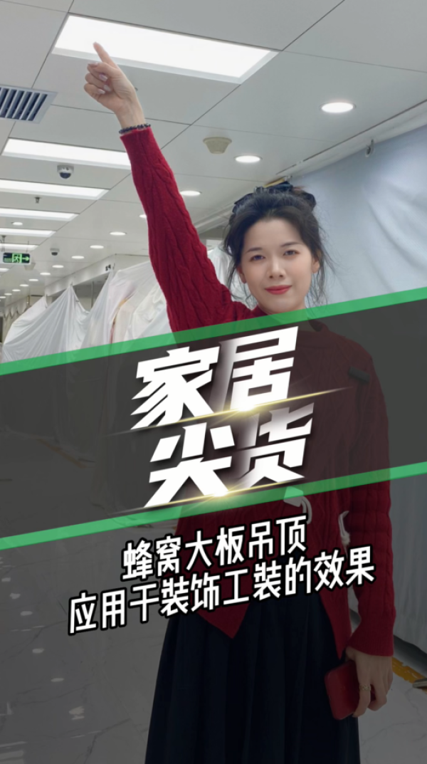 家居尖货-蜂窝大板吊顶应用于装饰工程效果