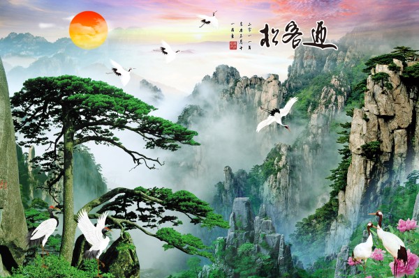 DSS-0002-迎客松