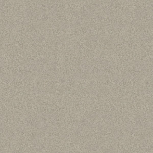 JD-PW-02.荔枝皮纹-杏