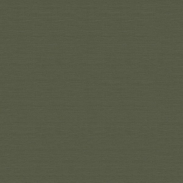 DY-BW-05.军绿纬纱纹