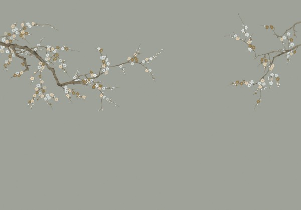 花鸟鱼虫-腊梅图-003