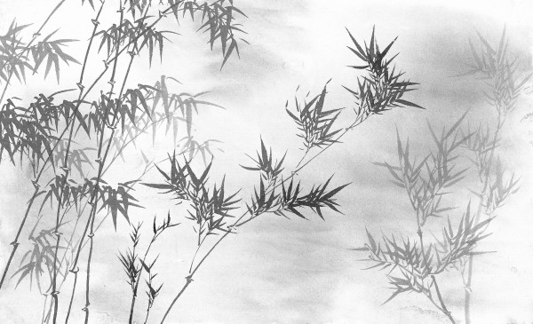 树木绿植-竹景图-012